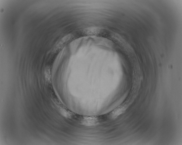 X0000083040240200702161714