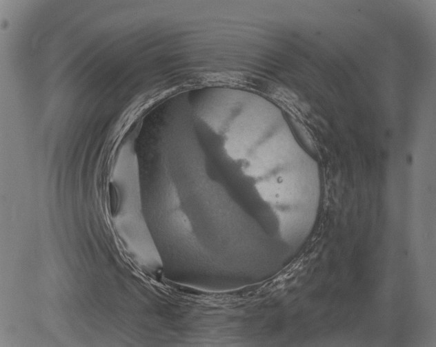 X0000083040241200702161713