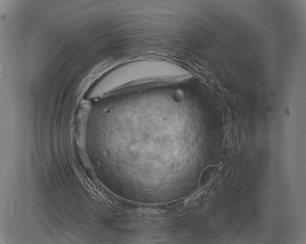 X0000083040242200702161713