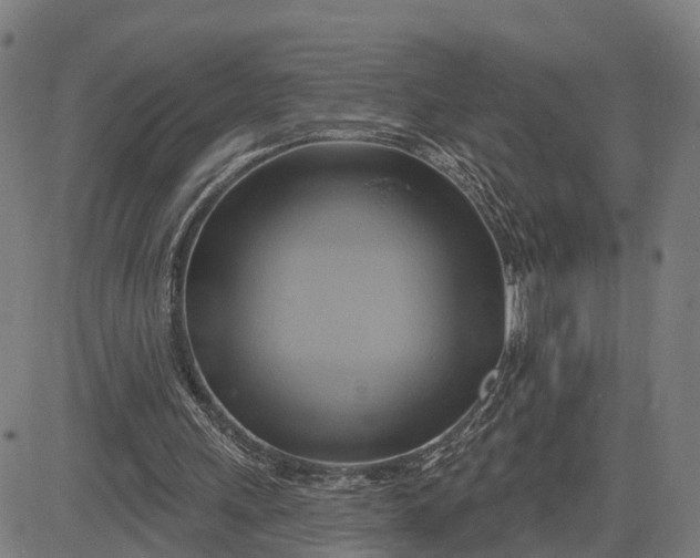 X0000083040243200702161713