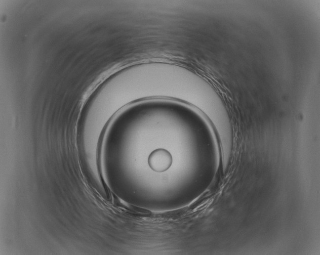 X0000083040244200702161713