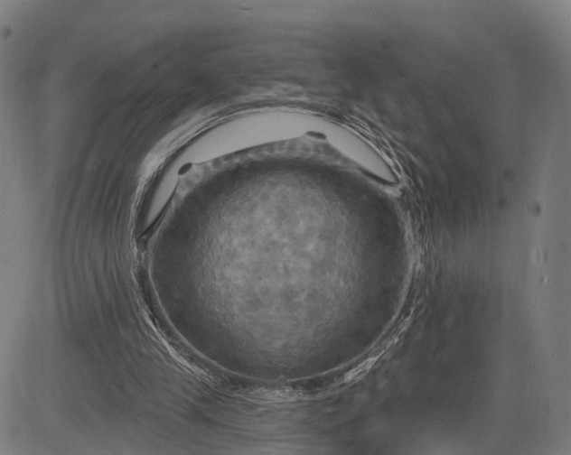 X0000083040245200702161713