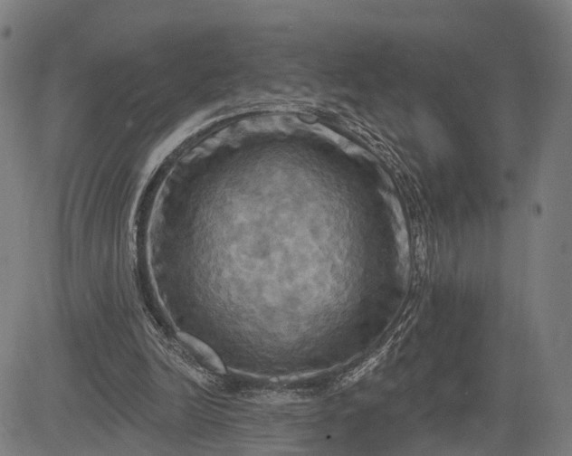 X0000083040246200702161713