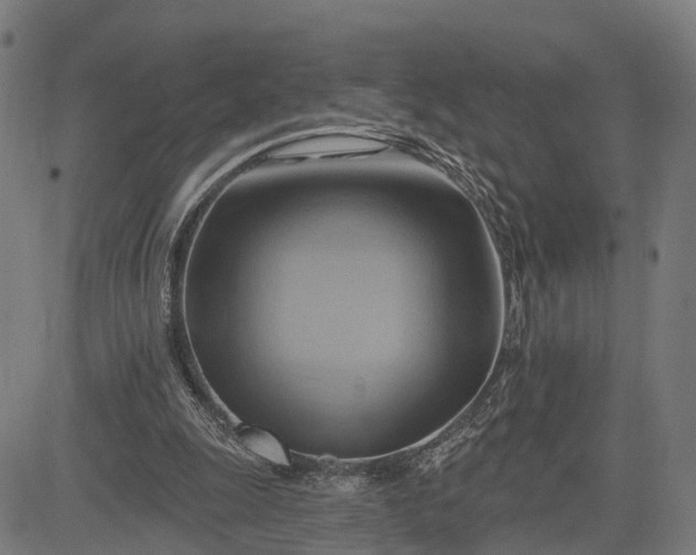 X0000083040247200702161713