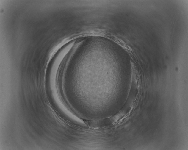 X0000083040248200702161713