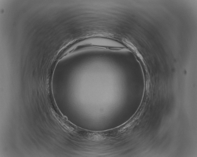 X0000083040249200702161713