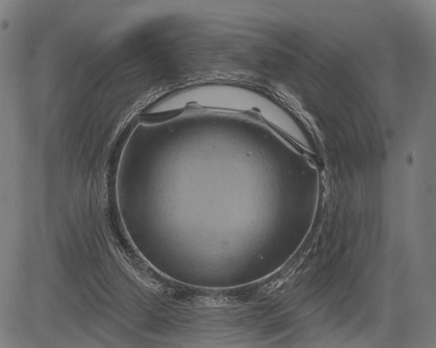 X0000083040250200702161713