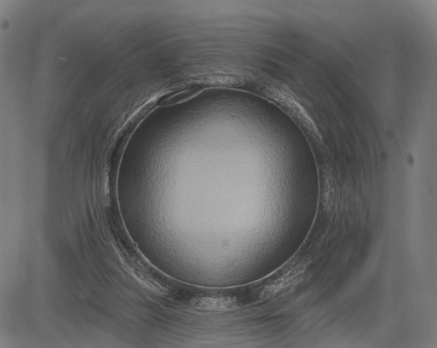 X0000083040251200702161713