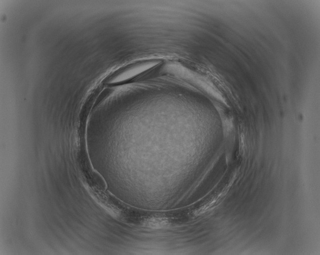 X0000083040252200702161713