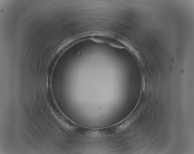 X0000083040253200702161713