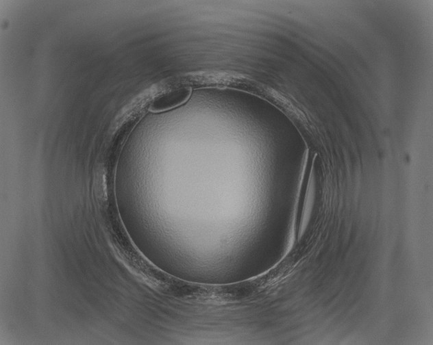 X0000083040254200702161713