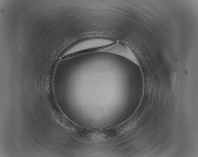 X0000083040255200702161714