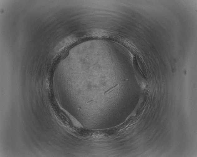 X0000083040256200702161714