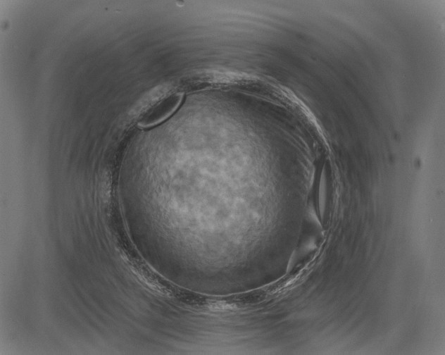 X0000083040257200702161714