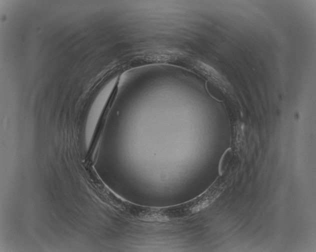 X0000083040258200702161714