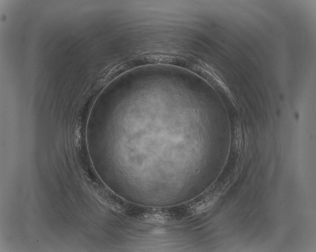 X0000083040259200702161714