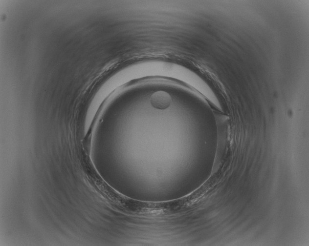 X0000083040260200702161714