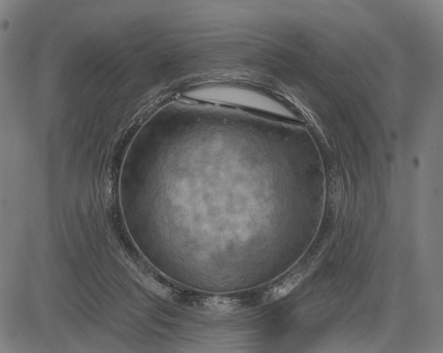 X0000083040261200702161714