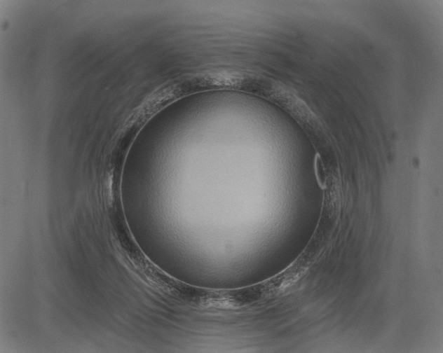 X0000083040262200702161714