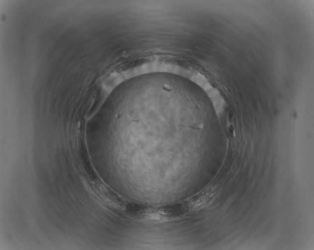 X0000083040263200702161714