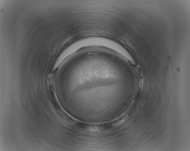 X0000083040264200702161714