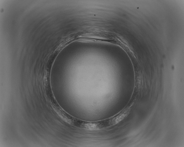 X0000083040265200702161714