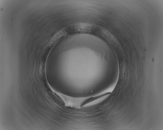 X0000083040266200702161714