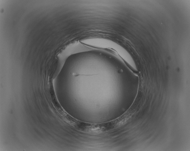 X0000083040267200702161714