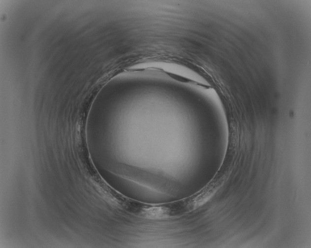 X0000083040269200702161714