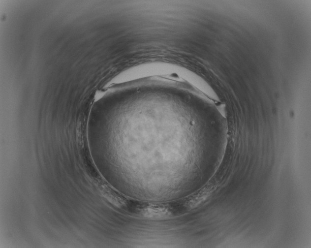 X0000083040270200702161714