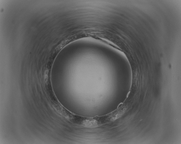 X0000083040271200702161714