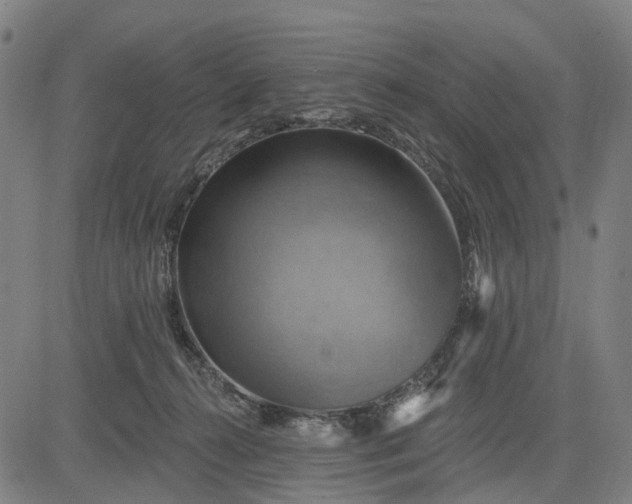 X0000083040272200702161714