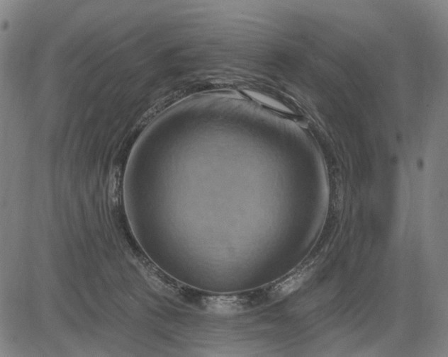 X0000083040273200702161714