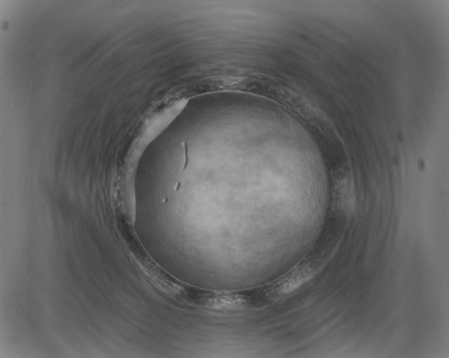 X0000083040274200702161714