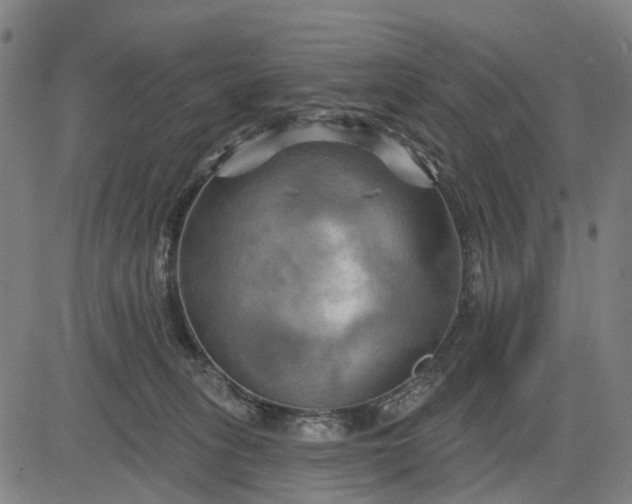 X0000083040275200702161714