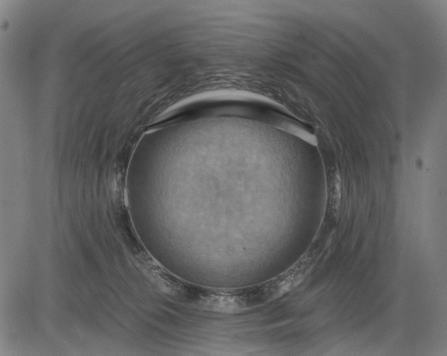 X0000083040276200702161714