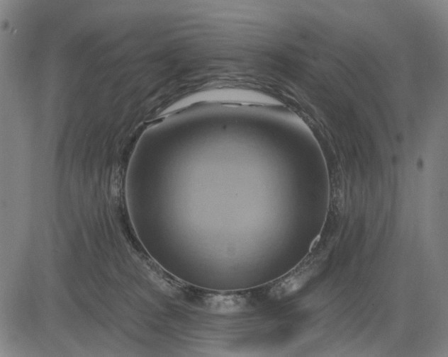 X0000083040277200702161714