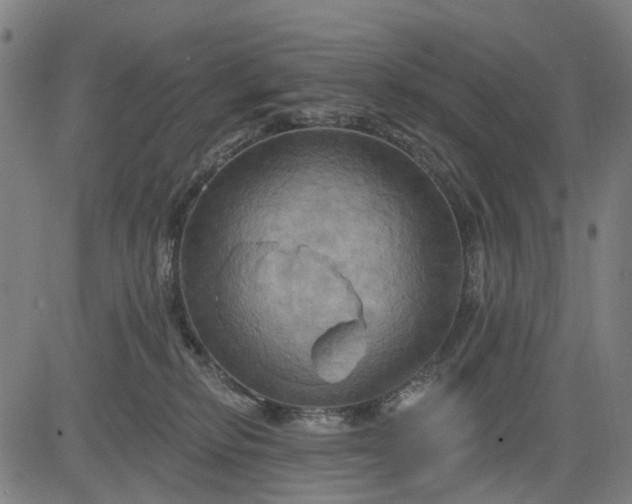 X0000083040278200702161714