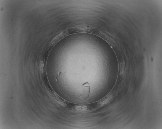 X0000083040279200702161714