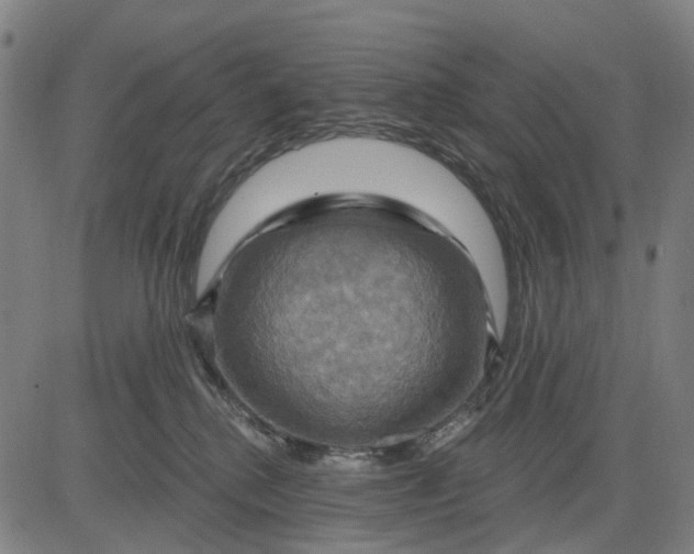 X0000083040280200702161714