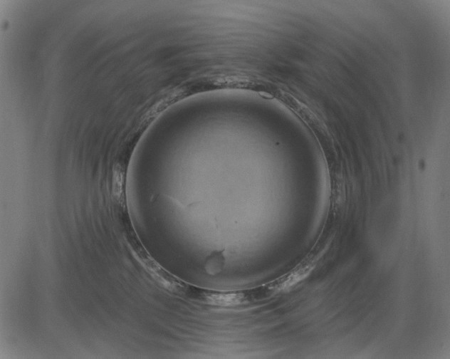 X0000083040281200702161714