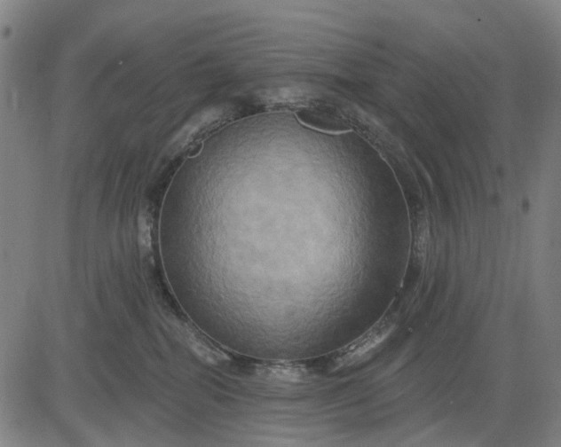 X0000083040282200702161714