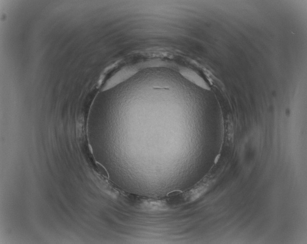 X0000083040283200702161714