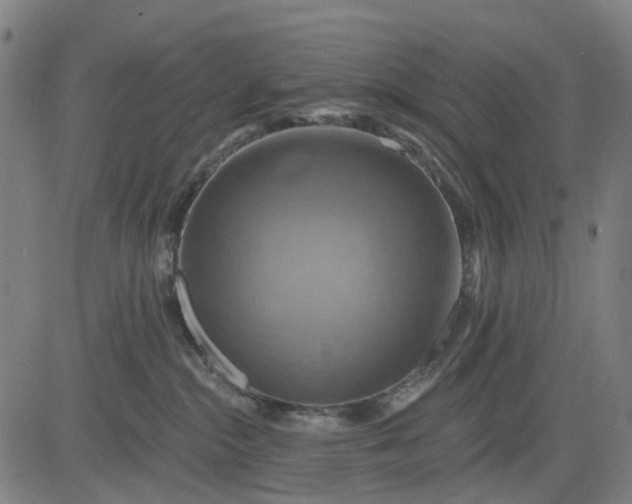 X0000083040284200702161714