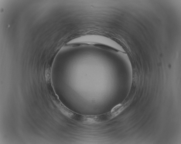 X0000083040285200702161714