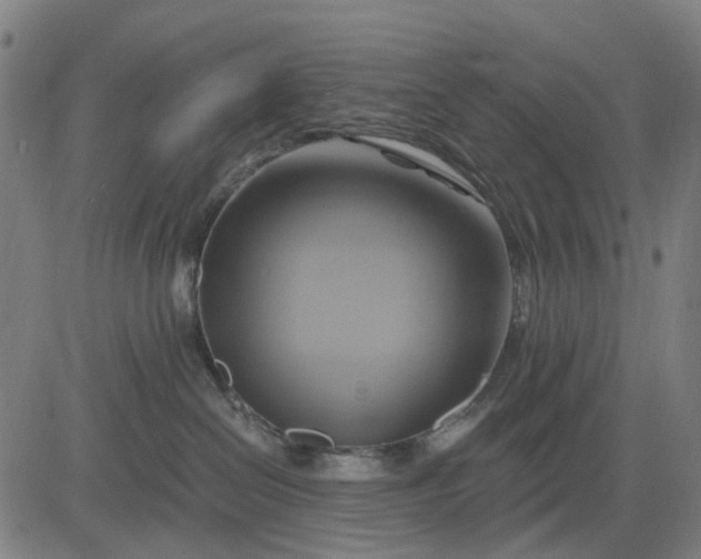 X0000083040286200702161714