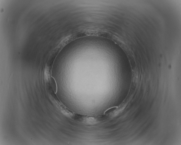 X0000083040287200702161714