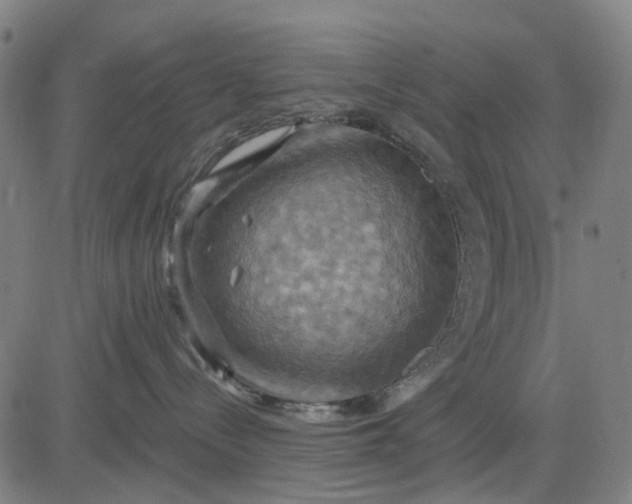 X0000083040288200702161714