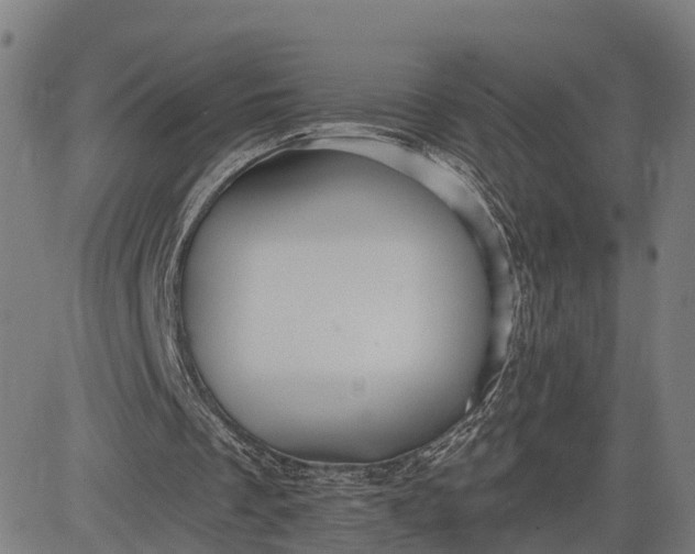 X0000083040289200702161713