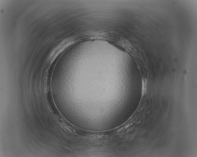 X0000083040291200702161713